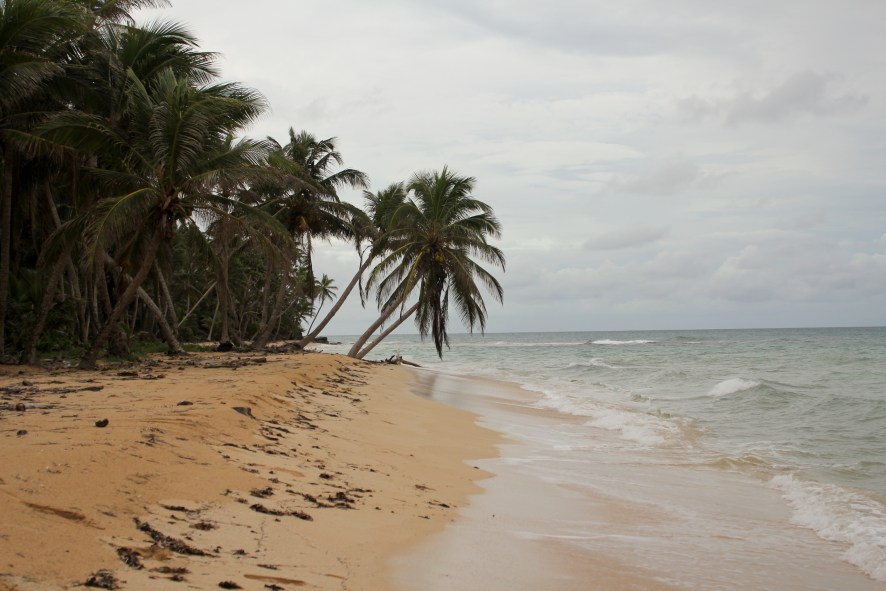 img_1747_5228463363_o