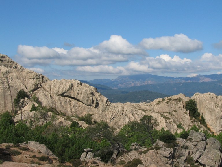 img_0799_4010612425_o