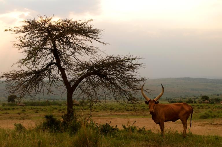 1196023694_3292466877_o