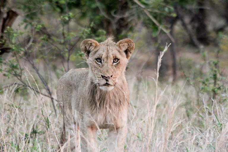 img_7716_6433106827_o