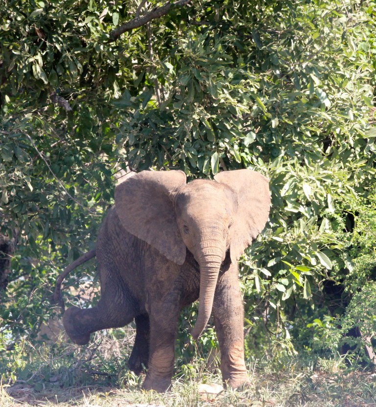 img_8436_6436013765_o