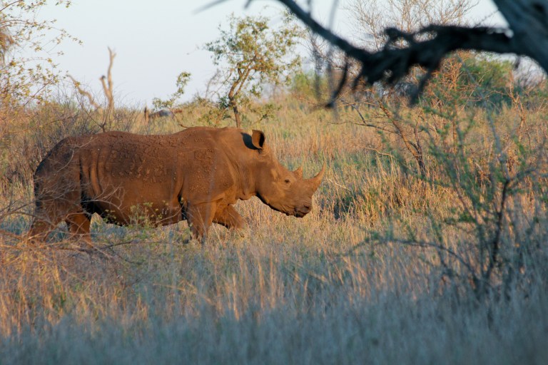 img_8548_6437143135_o