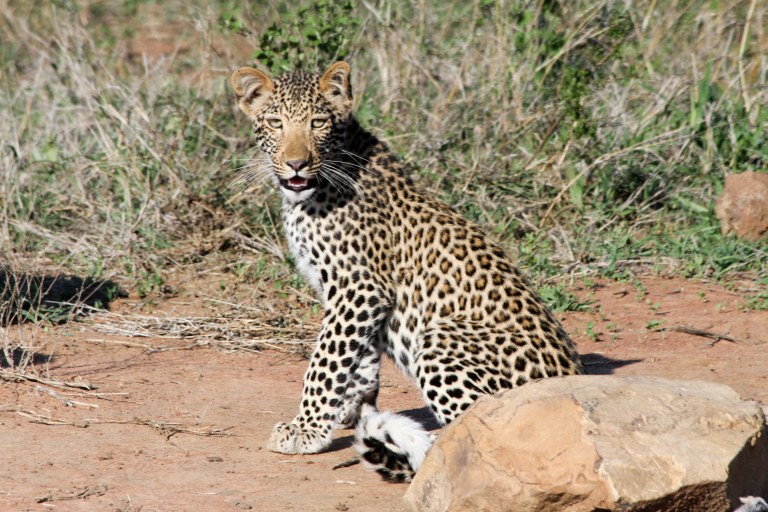 img_9066_6438259369_o